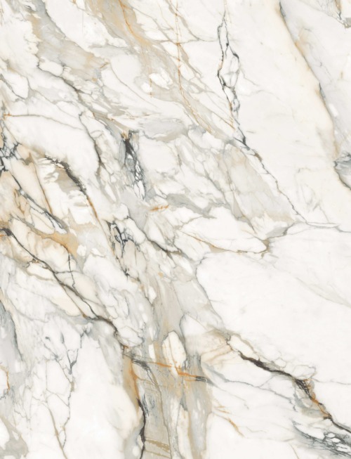 Calacatta Supreme | AC2039