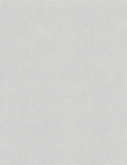 White Canvas | AC900