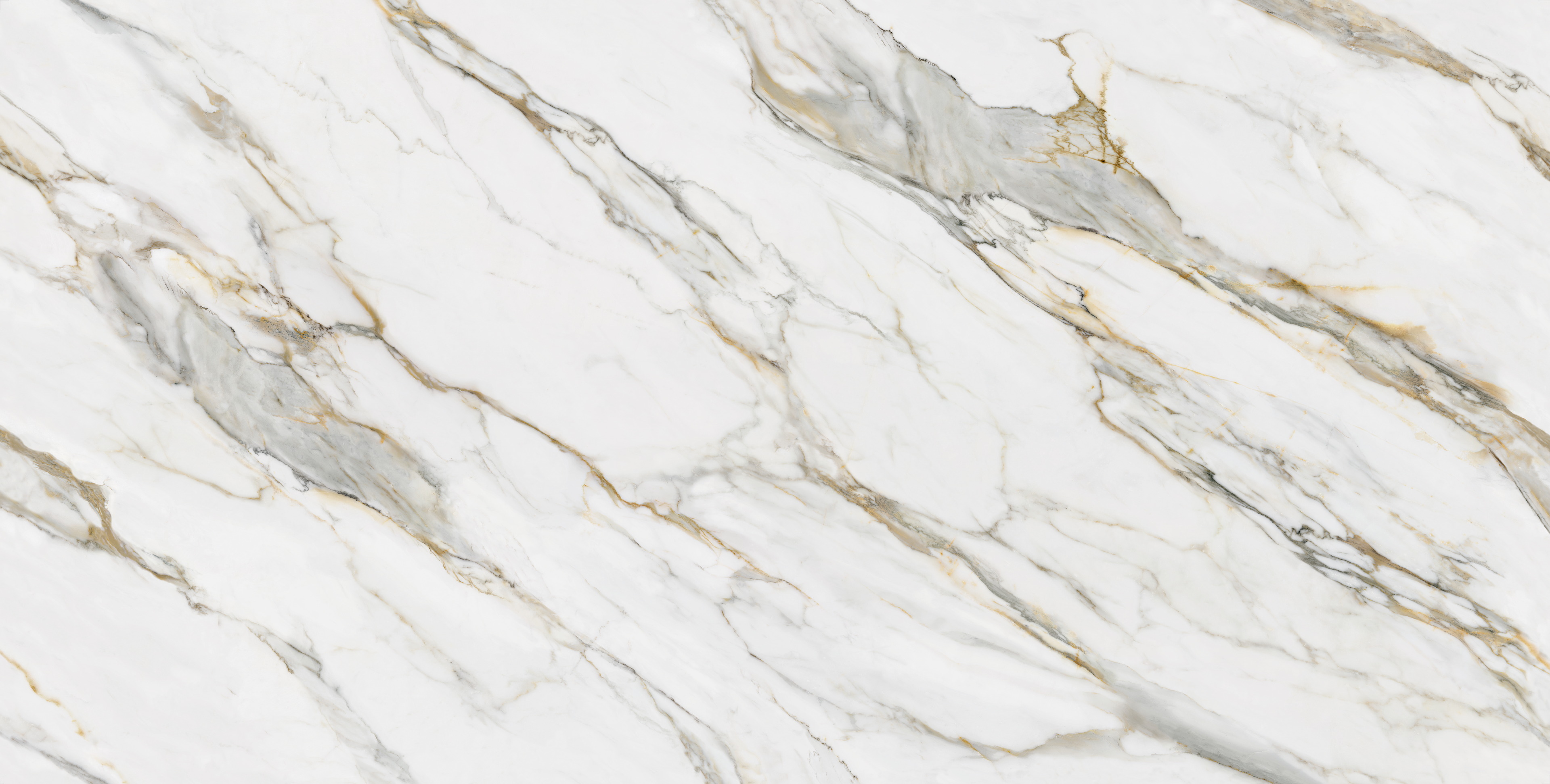 Borghini Gold | AC6009