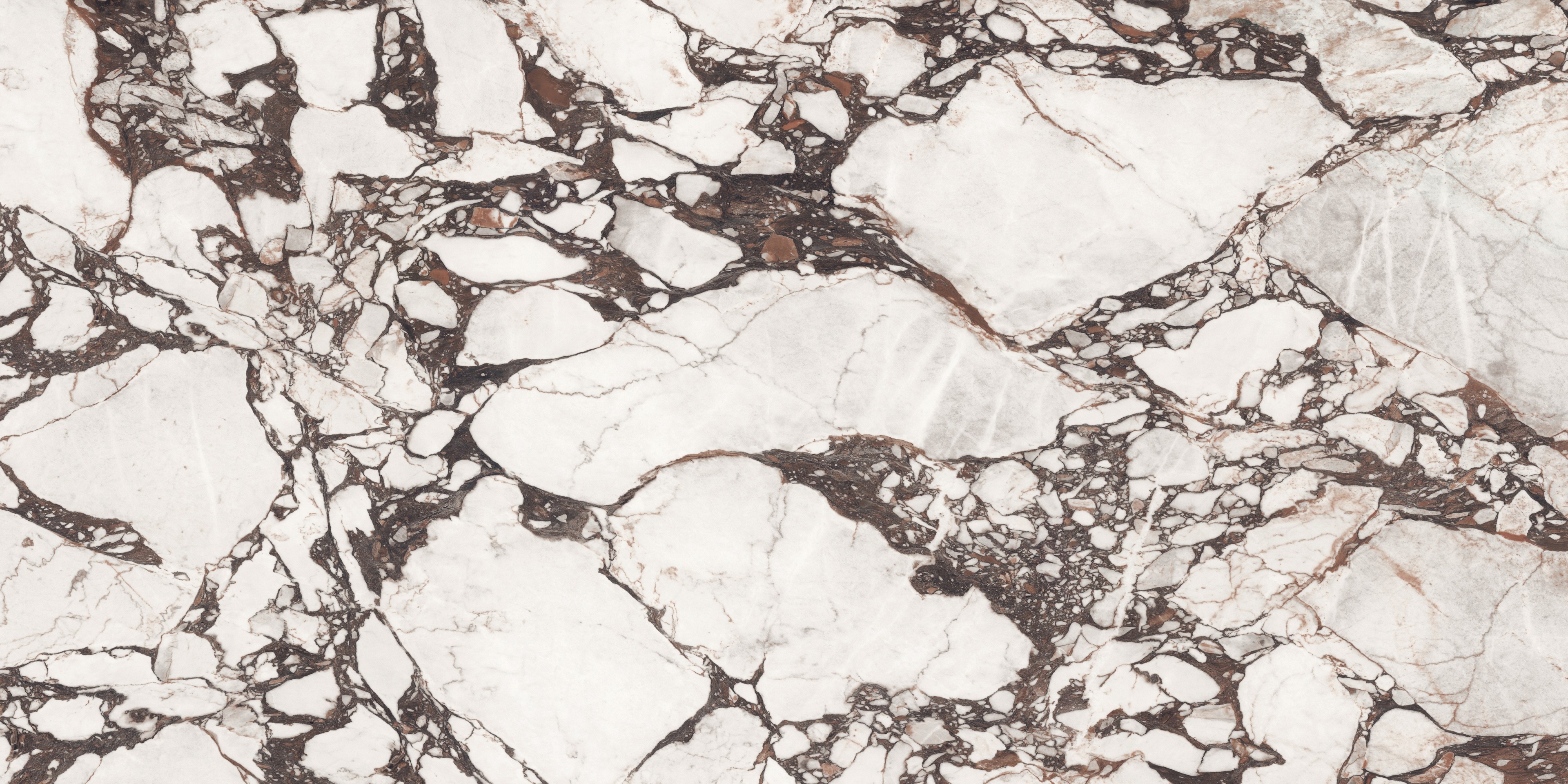 Calacatta Viola | AC2079