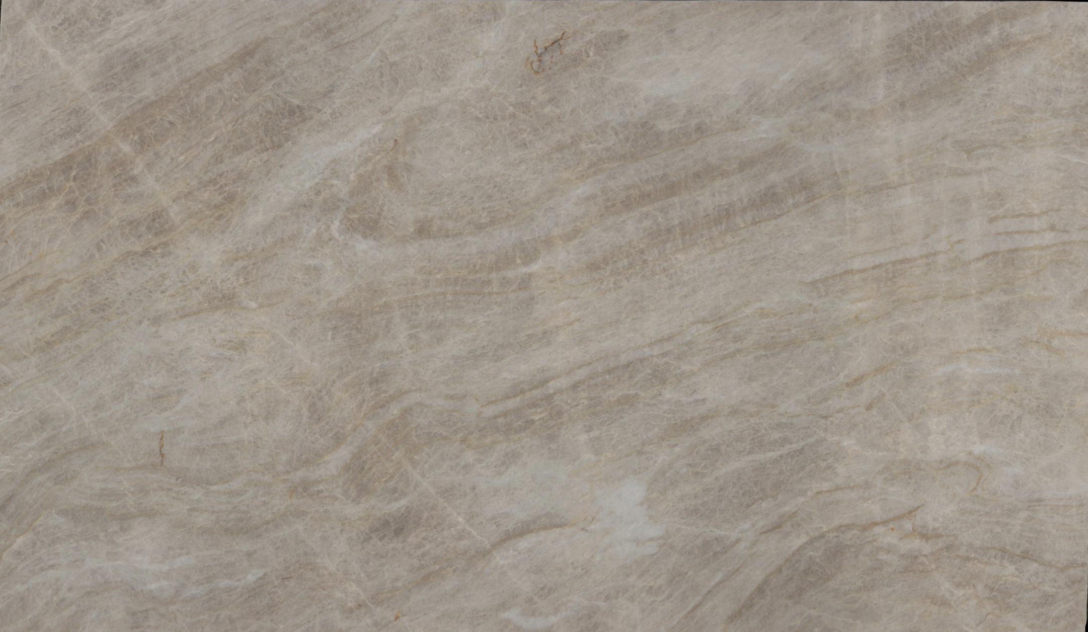 Taj Mahal Quartzite | NS301