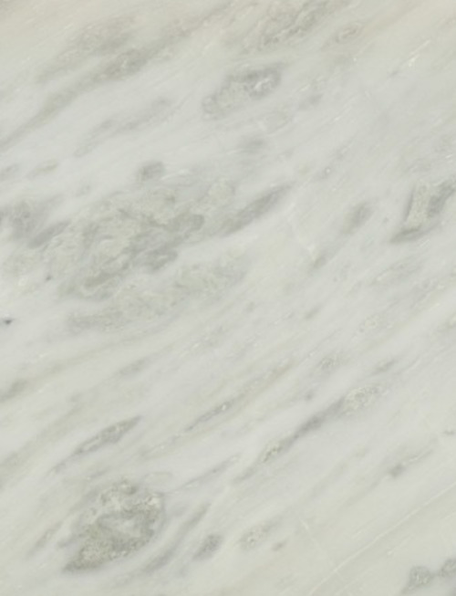 Bianco Rhino | NS309
